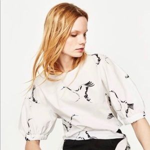 Zara Crane Top